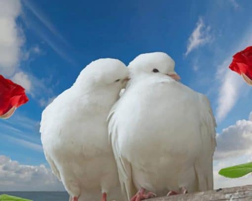 Lovely White Doves paint by number