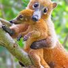 Mom And Baby Coati paint by numbers