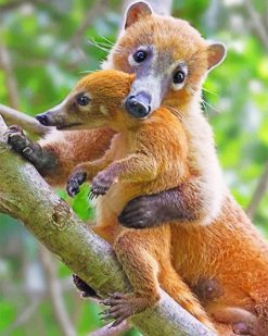 Mom And Baby Coati paint by numbers