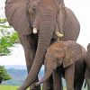 Mom And Baby Elephant paint by numbers