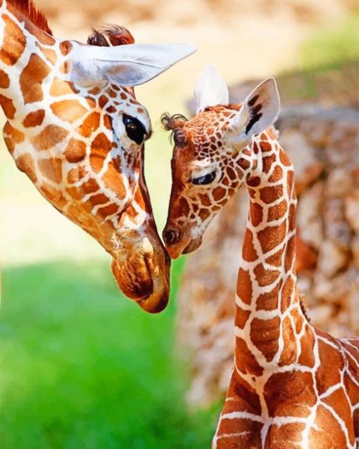 Mom Giraffe And Baby Giraffe paint by numbers