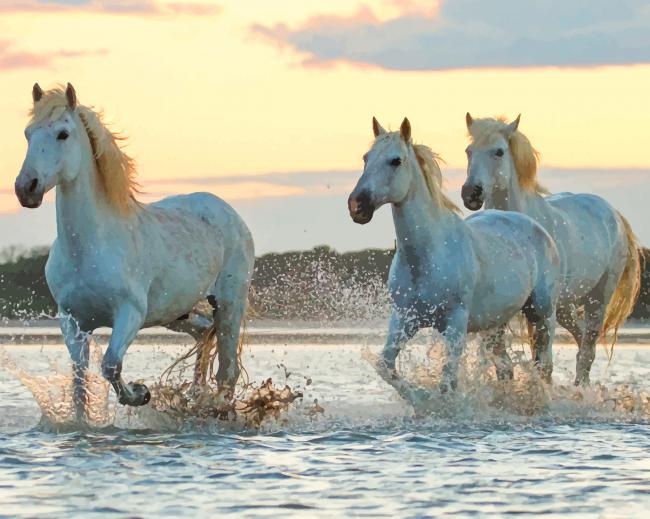 Morning River Running Horses paint by number