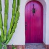 Purple Door With Plants paint by numbers
