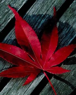 Red Leaf paint by numbers