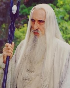 Saruman Character paint by numbers
