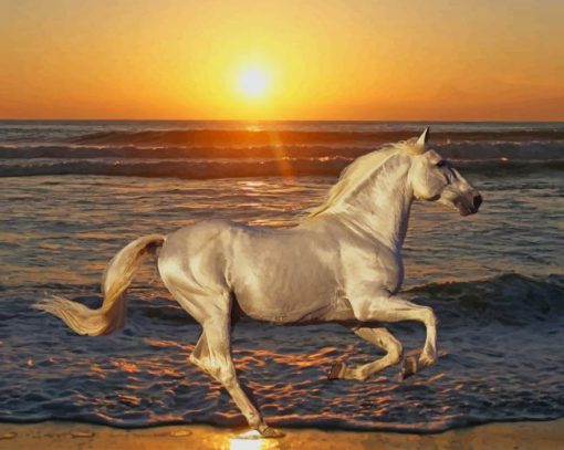 White Stallion Horse At Sunset paint by number