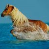 Stallion Horse In Water paint by number
