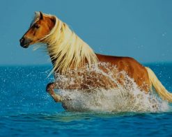Stallion Horse In Water paint by number
