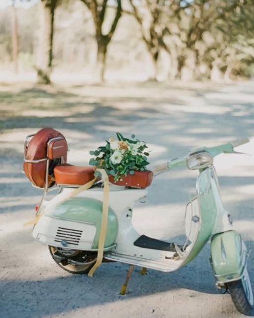 Vespa Wedding Decor paint by numbers