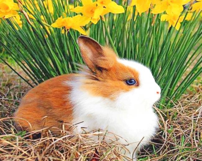 White And Brown Rabbit paint by number