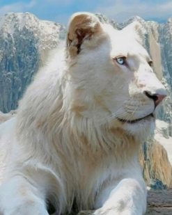 White Lion paint by numbers