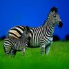 Mom And Baby Zebra paint by number