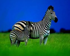 Mom And Baby Zebra paint by number