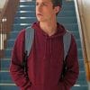 13 Reasons Why Clay Jensen paint by numbers