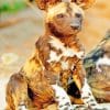 African Wild Dog painnt by numbers