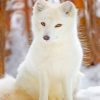 Arctic Fox paint by numbers
