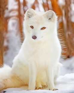 Arctic Fox paint by numbers
