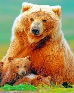 Bear Family paint by numbers