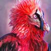 Bearded Vulture Art paint by numbers
