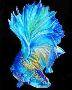 Blue Betta Fish paint by numbers