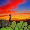 Cactus Desert Sunset paint by numbers