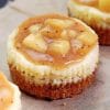Caramel Apple Mini Cheesecake paint by numbers