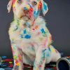 Colorful Dog Dalmatian painnt by numbers