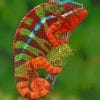 Colorful Chameleon paint by numbers