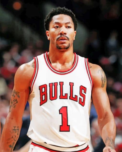 Derrick Rose paint by numbers