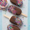 frozen Chocolate Ice Cream Popsicle paint by numbers