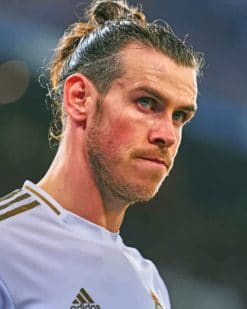 Gareth Bale painnt by numbers