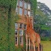Giraffes In Philips Van Lennep Park paint by numbers