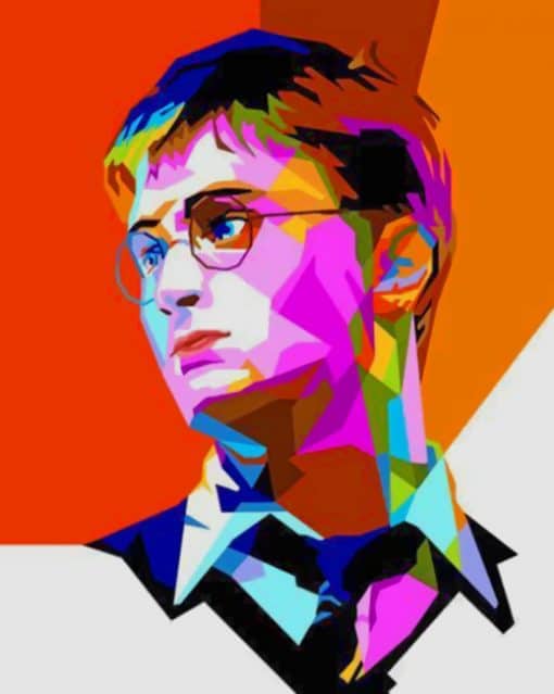 Harry Potter Pop Art Poster paint by numbers
