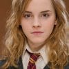 Hermione Granger Harry Potter paint by numbers