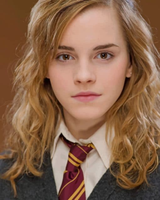 Hermione Granger Harry Potter paint by numbers