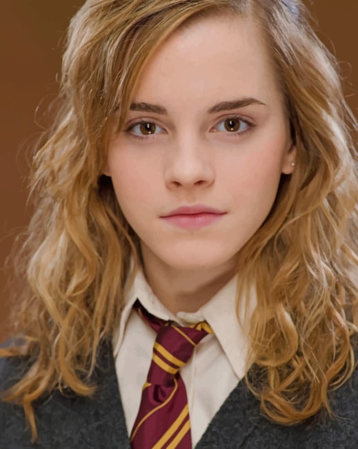 Harry Potter: Hermione Granger - Paint By Numbers Kit – Oenart™