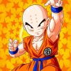 Krillin Dragon Ball painnt by numbers