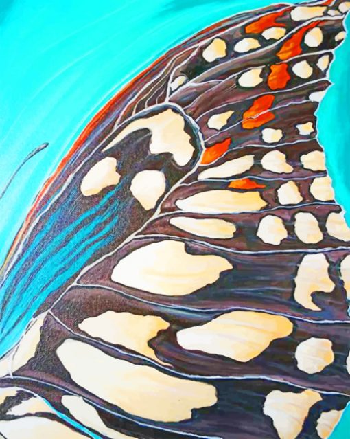 Landed Butterfly Abstract paint by numbers