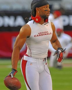 Larry Fitzgerald paint by numbers