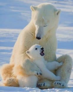 Mom And Baby Polar Bear paint by numbers