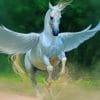 Pegasus Horse Fantasy paint by number