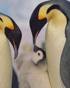 Penguins Family paint by numbers