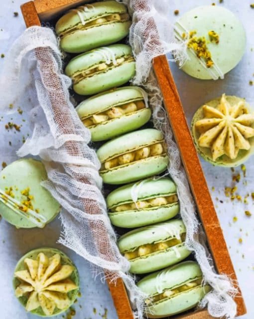 Pistachio Macarons paint by numbers