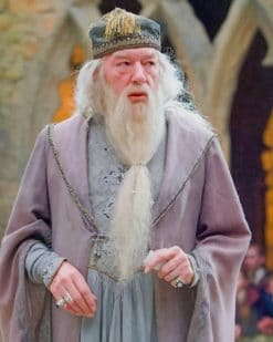Professor Albus Dumbledore paint by numbers