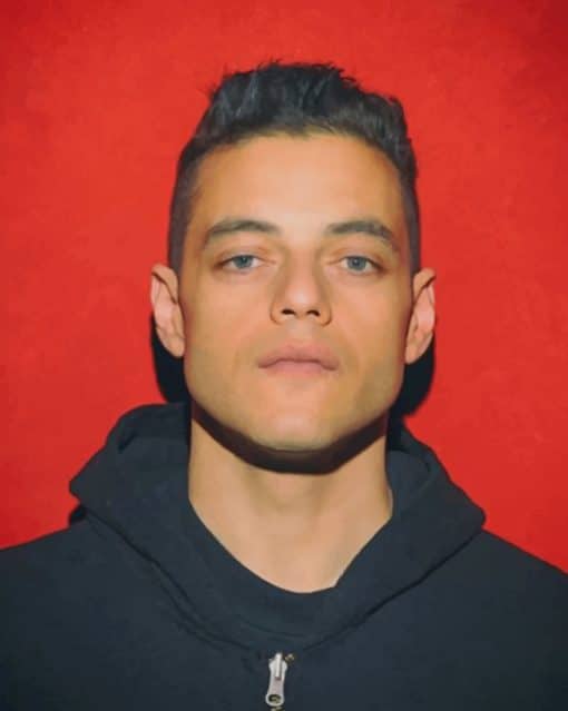 Rami Malek Actor paint by numbers