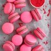 Raspberry And Dark Chocolate Macarons paint by numbers