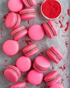 Raspberry And Dark Chocolate Macarons paint by numbers
