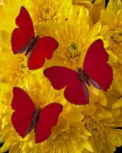 Red Butterflies On Yellow Flowers painnt by numbers