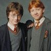 Ron Weasley And Harry Potter paint by numbers