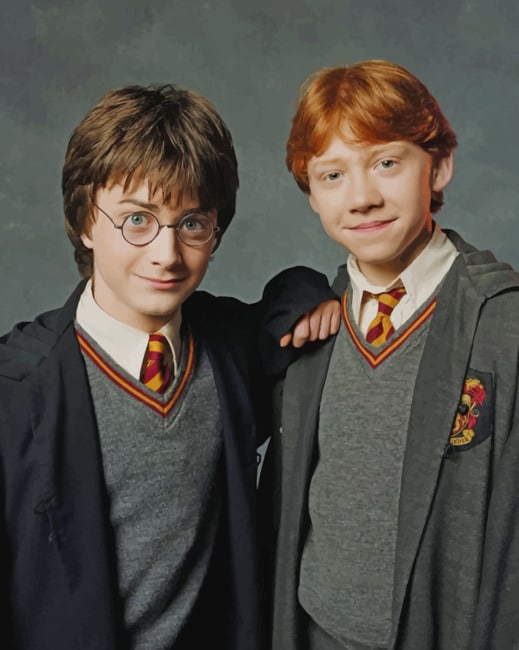 Ron Weasley And Harry Potter - Paint By Numbers - Paint by numbers